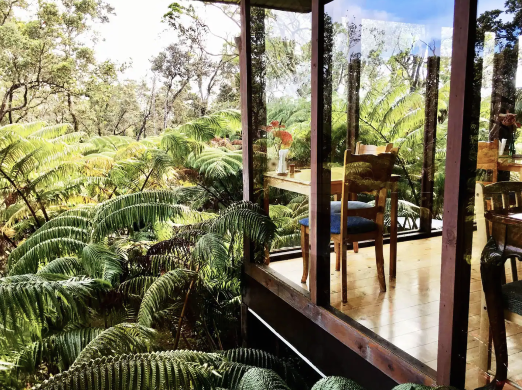Jungle hawaii airbnb elopement 