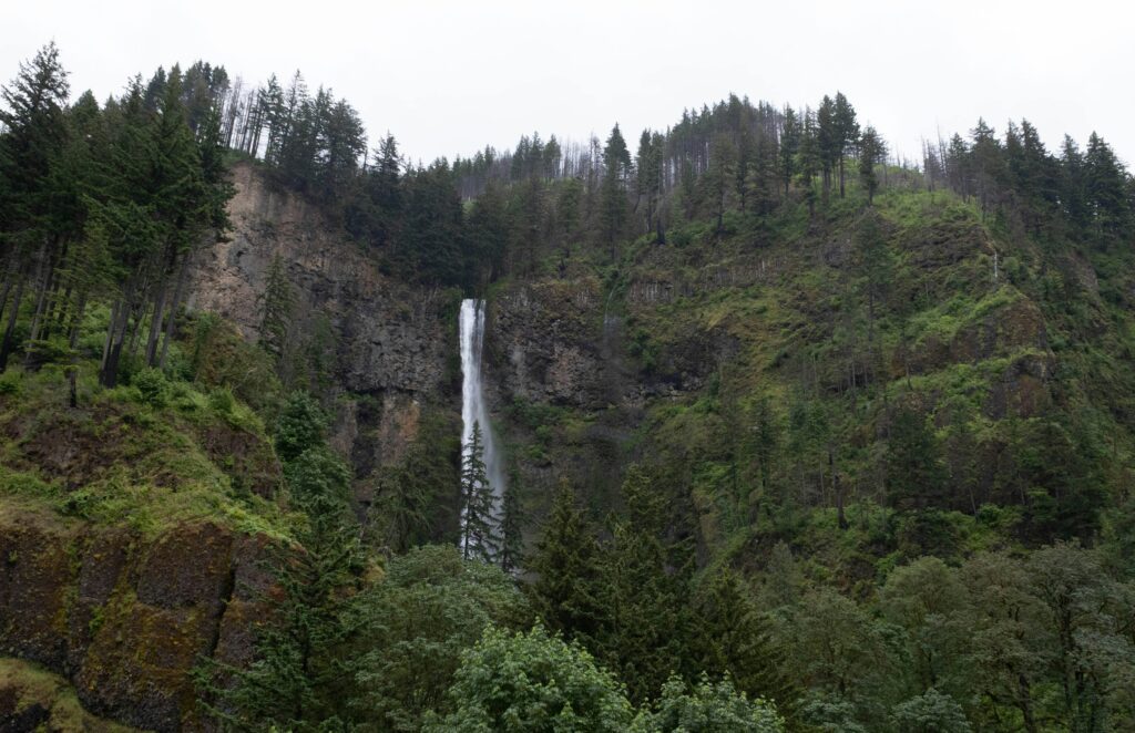 Columbia river gorge elopement location