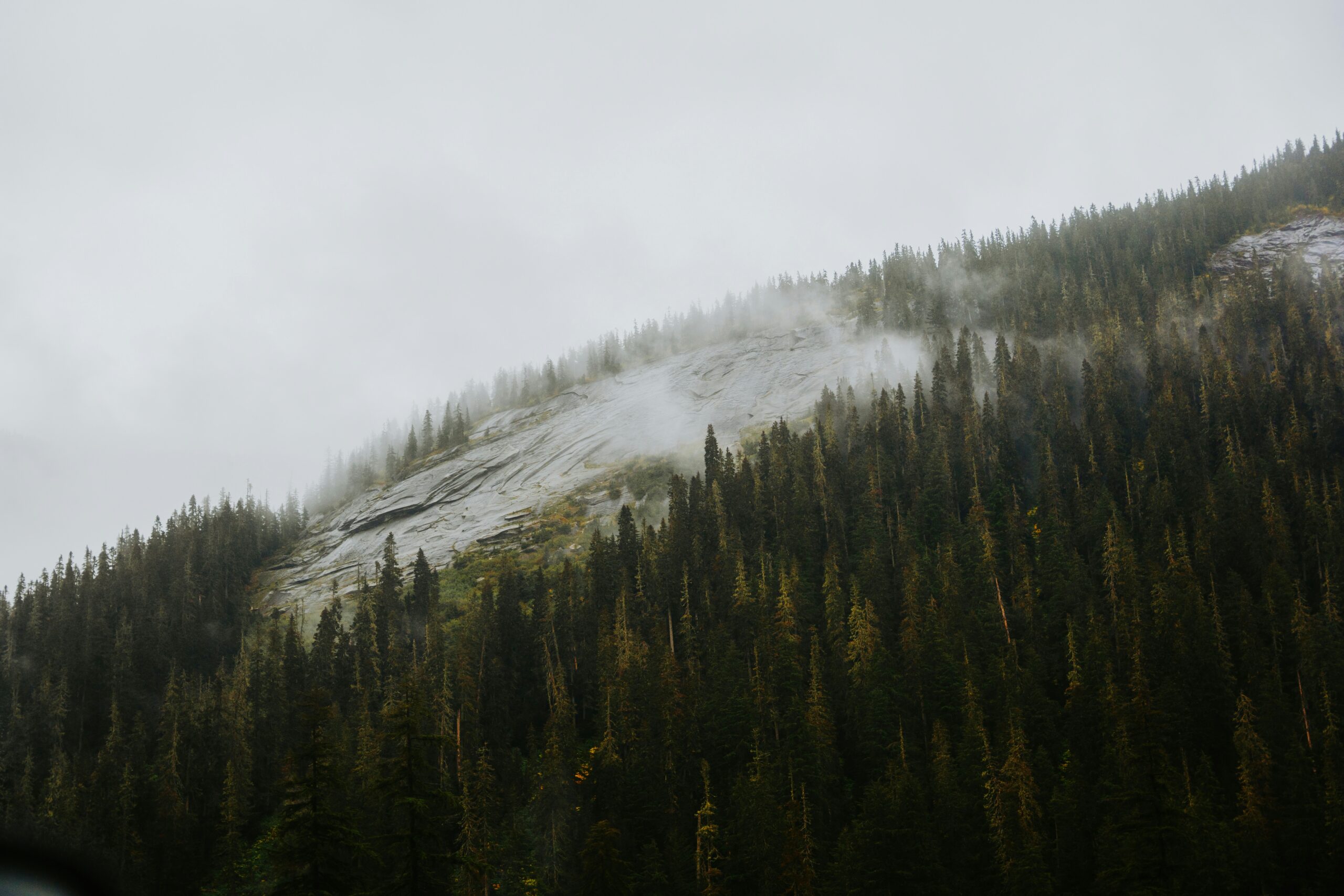 Columbia river gorge elopement location