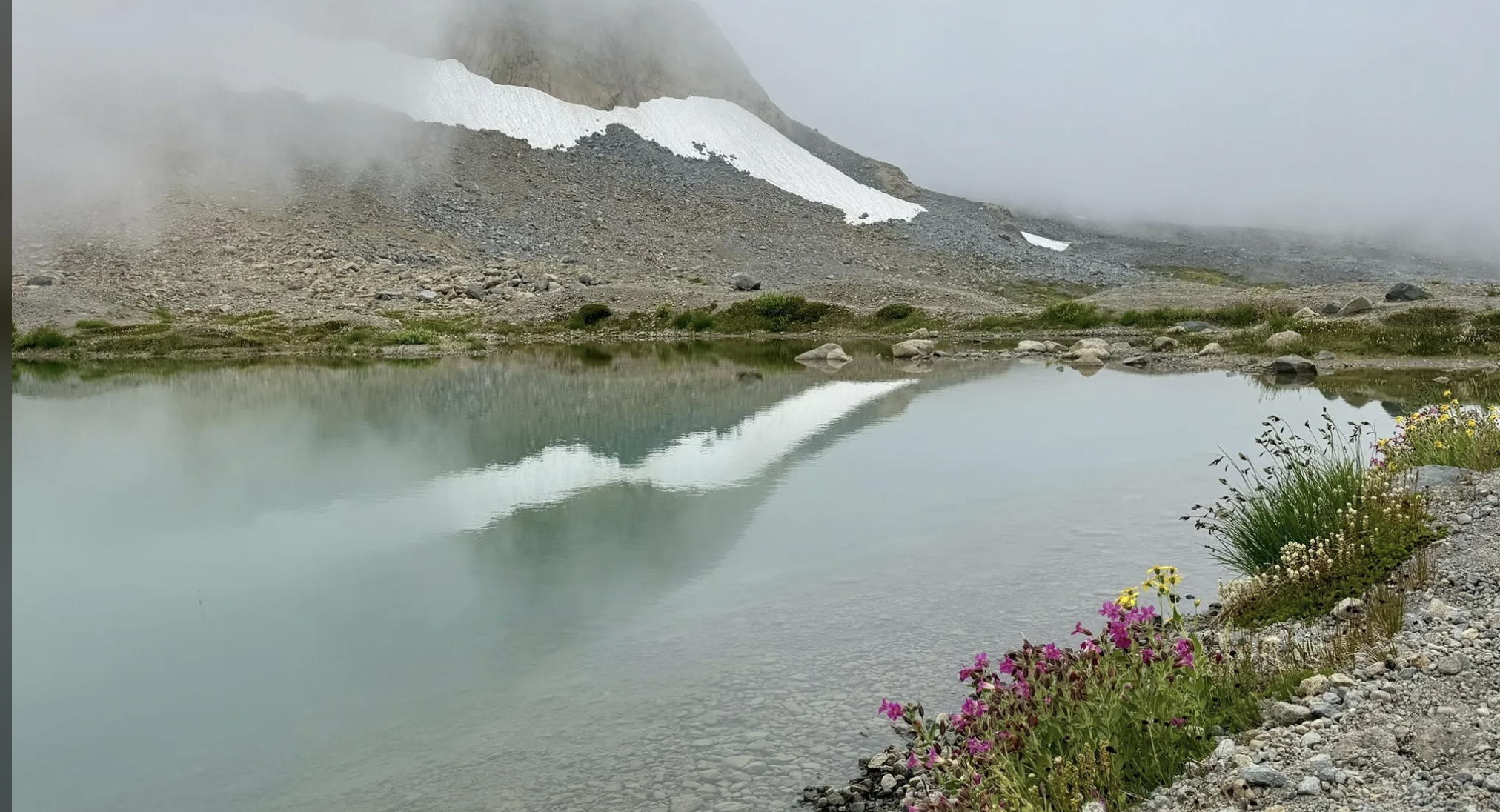 mt rainier elopement