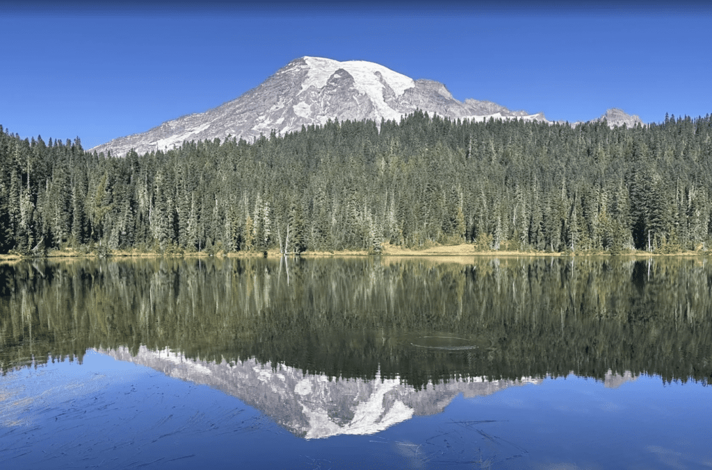 mt rainier elopement