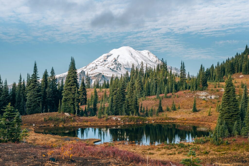 mt rainier elopement