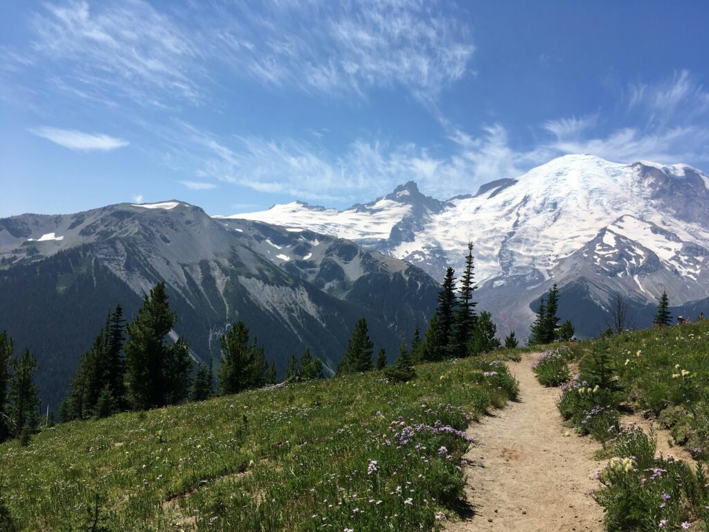 mt rainier elopement