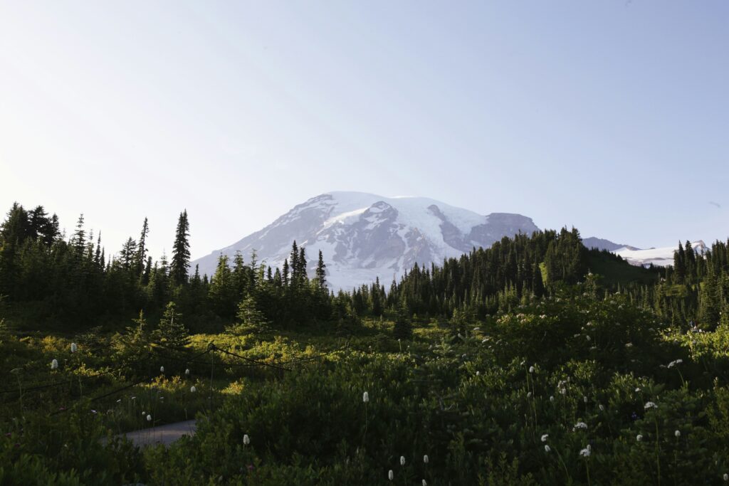 Washington elopement location