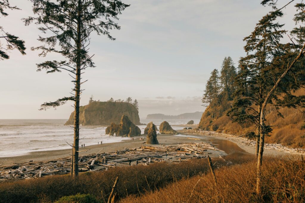 Washington elopement location