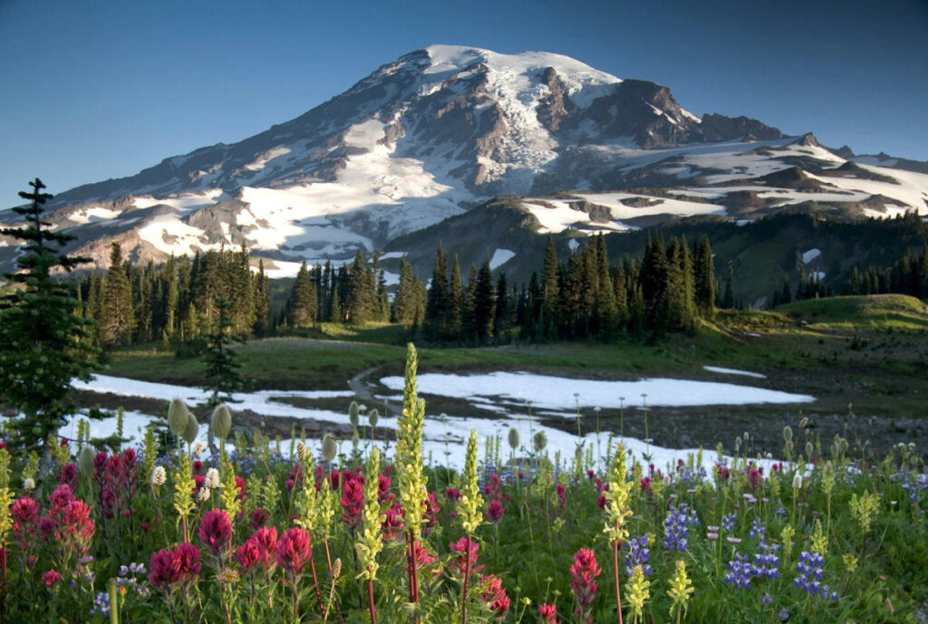 Washington elopement locations