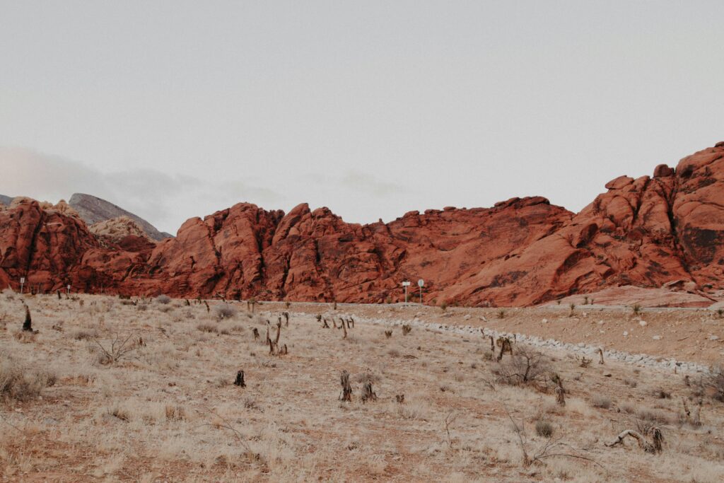 California elopement location