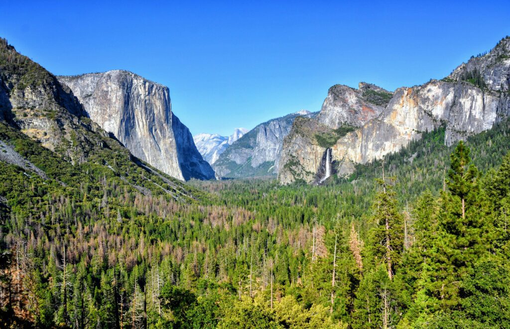 Yosemite elopement location