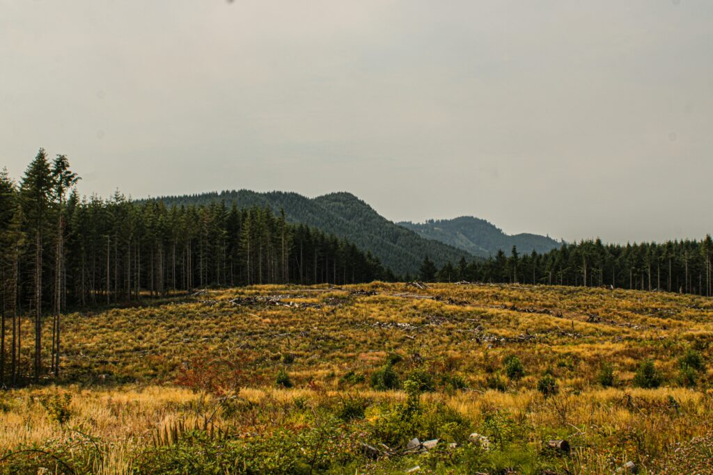 Montana Elopement