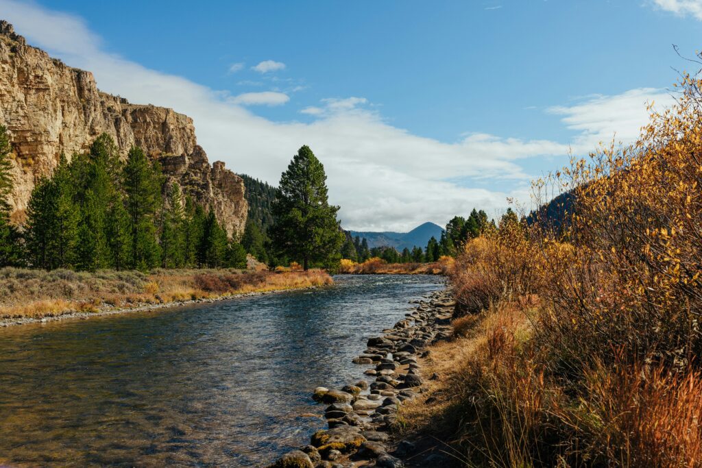 Montana Elopement