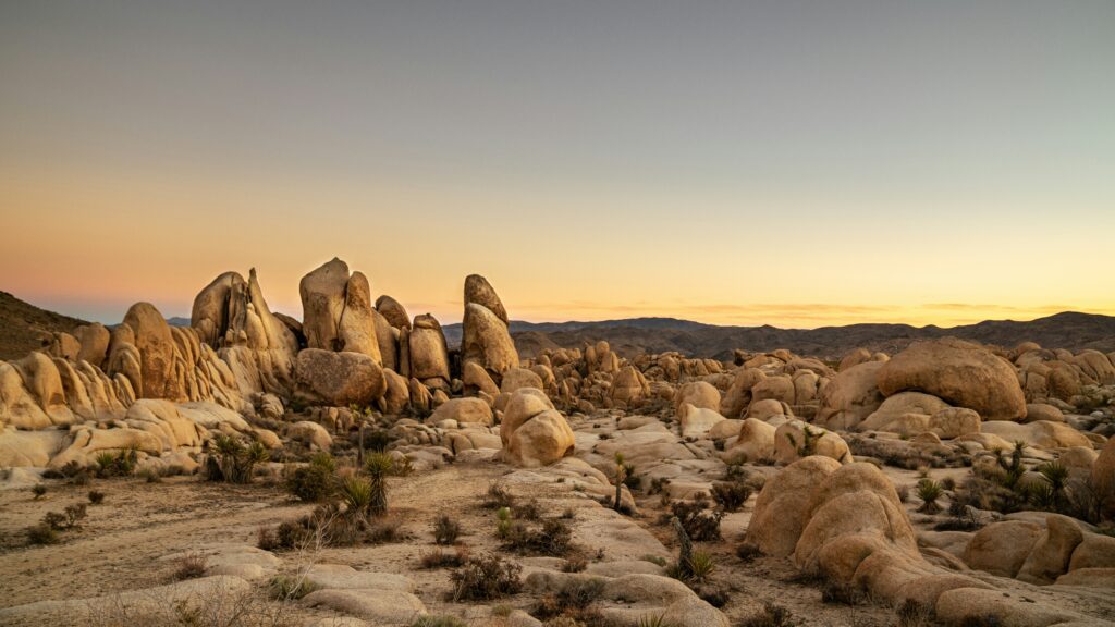 Joshua tree elopement locations