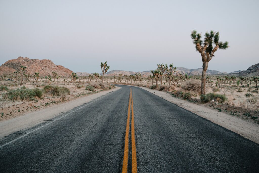 Joshua tree elopement locations