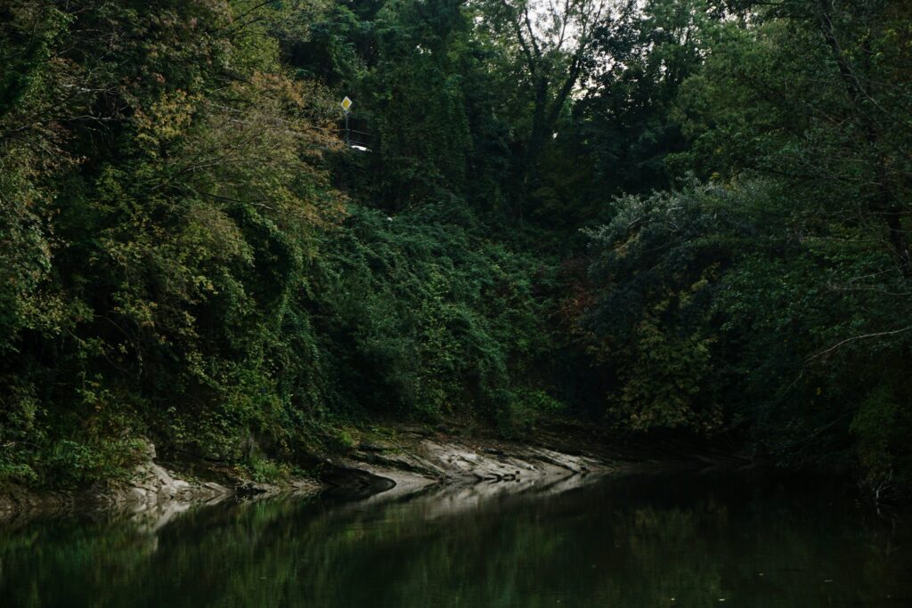 Redwoods elopement locations