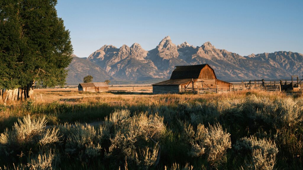 Grand teton elopement location