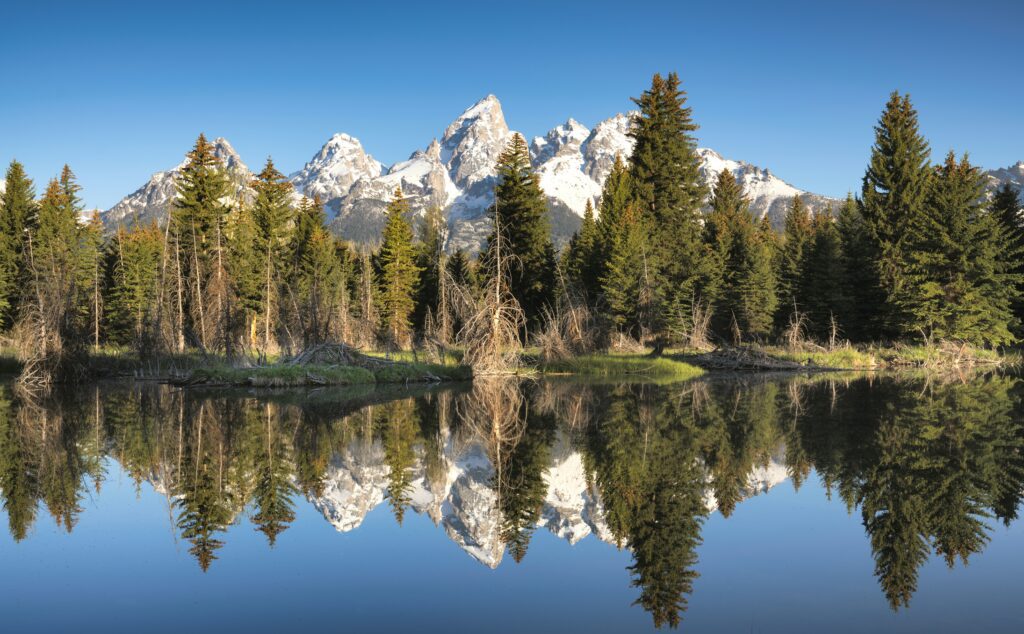 Grand teton elopement location