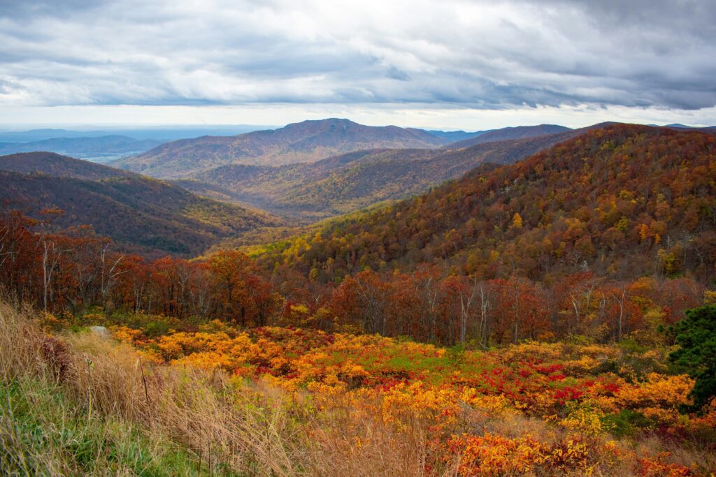 mountain elopement location