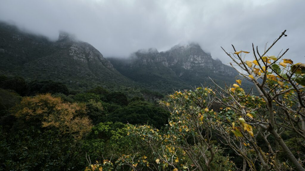 mountain elopement location