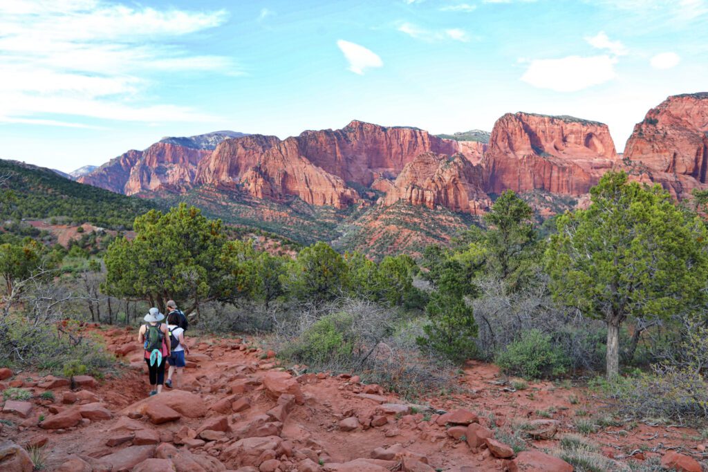 Zion elopement locations