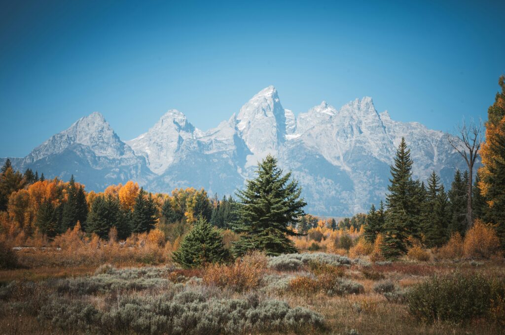 Jackson hole elopement