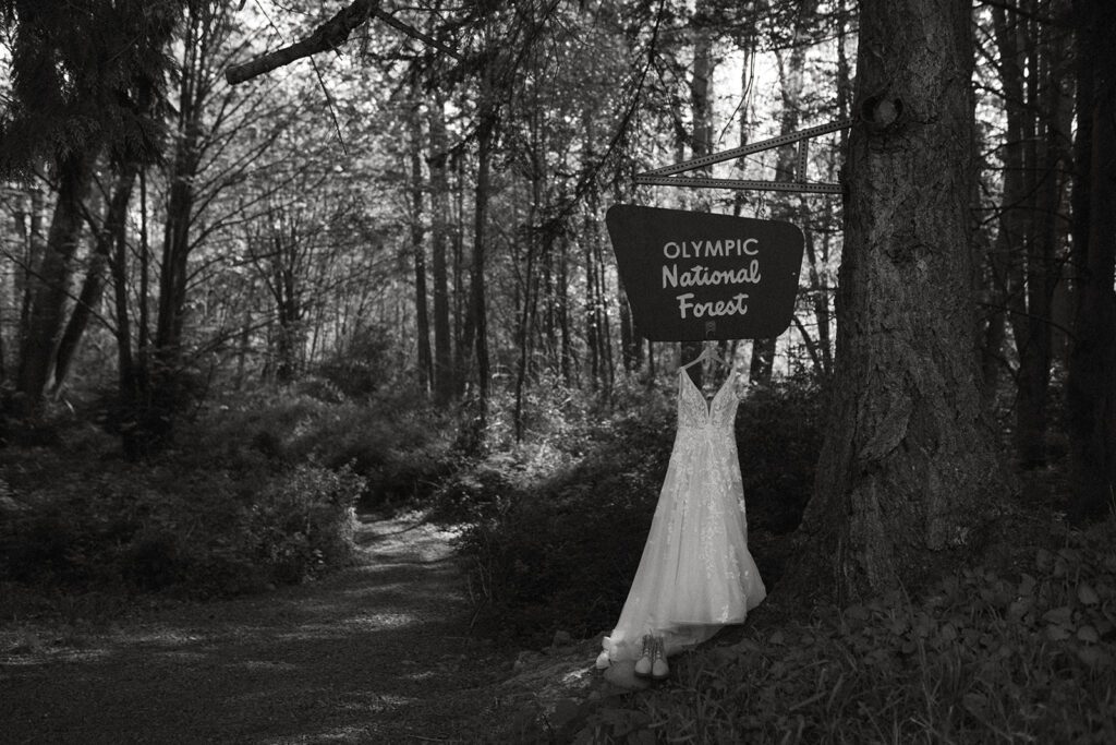 Olympic National Park Elopement