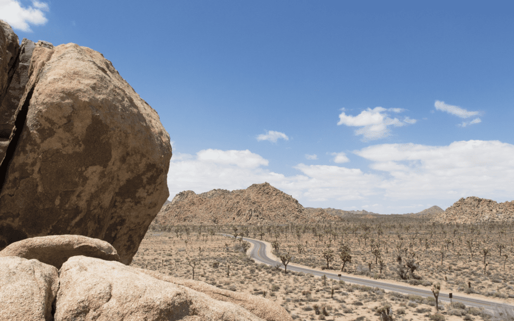 Joshua tree elopement locations
