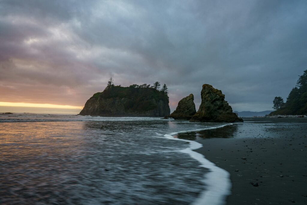 Olympic National Park Elopement