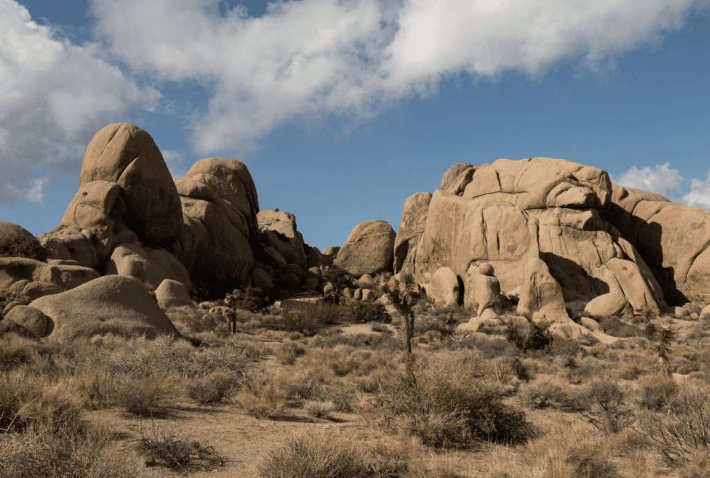 Joshua tree elopement locations