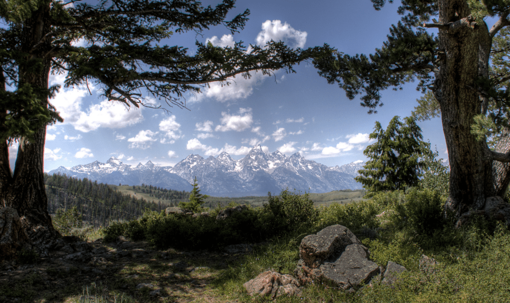 Jackson hole elopement
