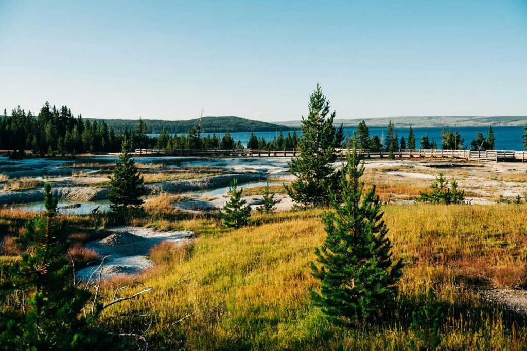 yellowstone elopement locations