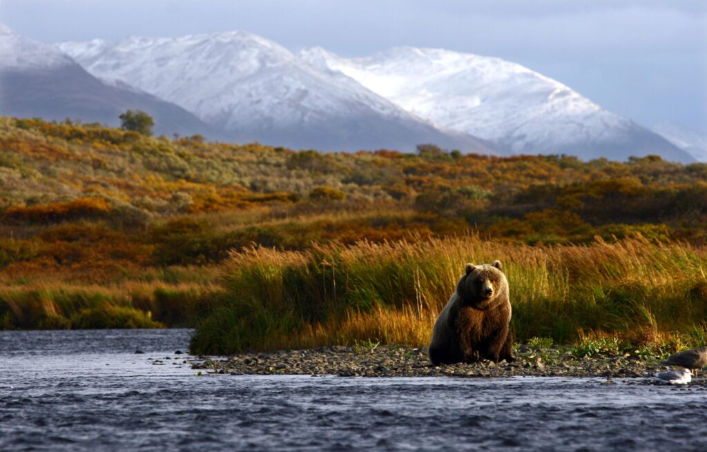 Alaska elopement locations