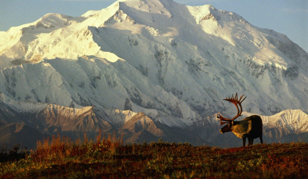 Alaska elopement