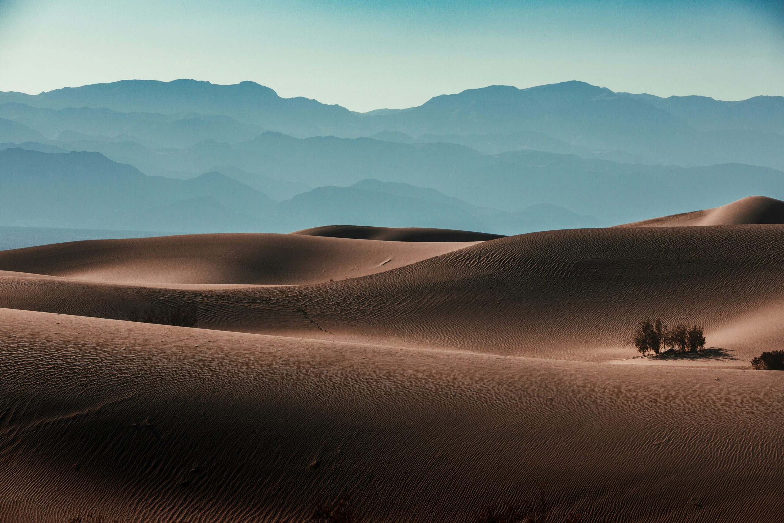 death valley elopement