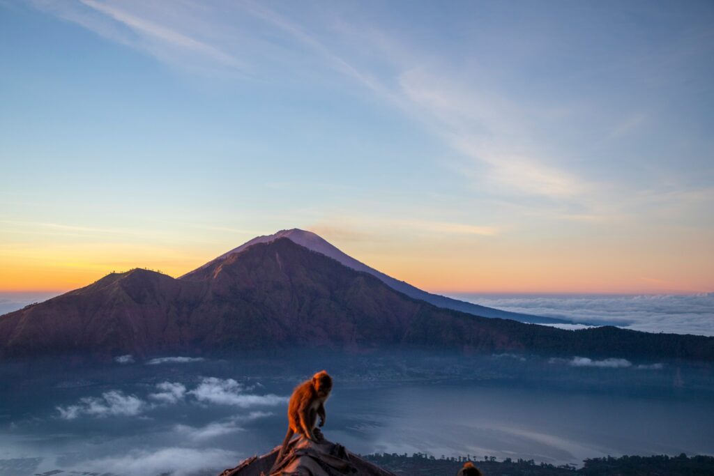 Bali elopement
