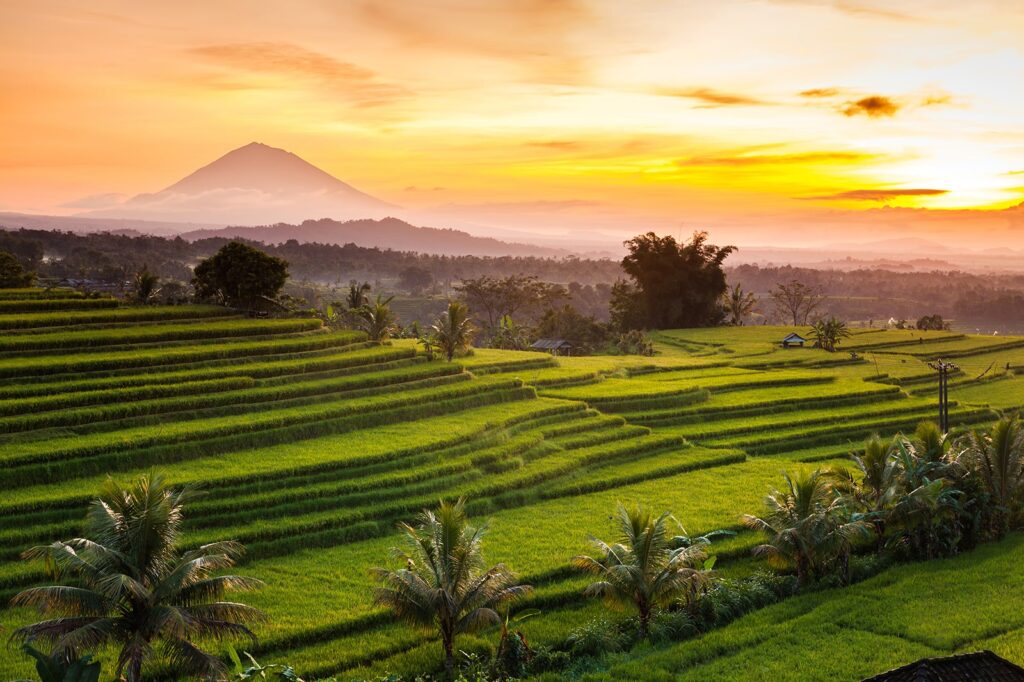 Bali elopement locations