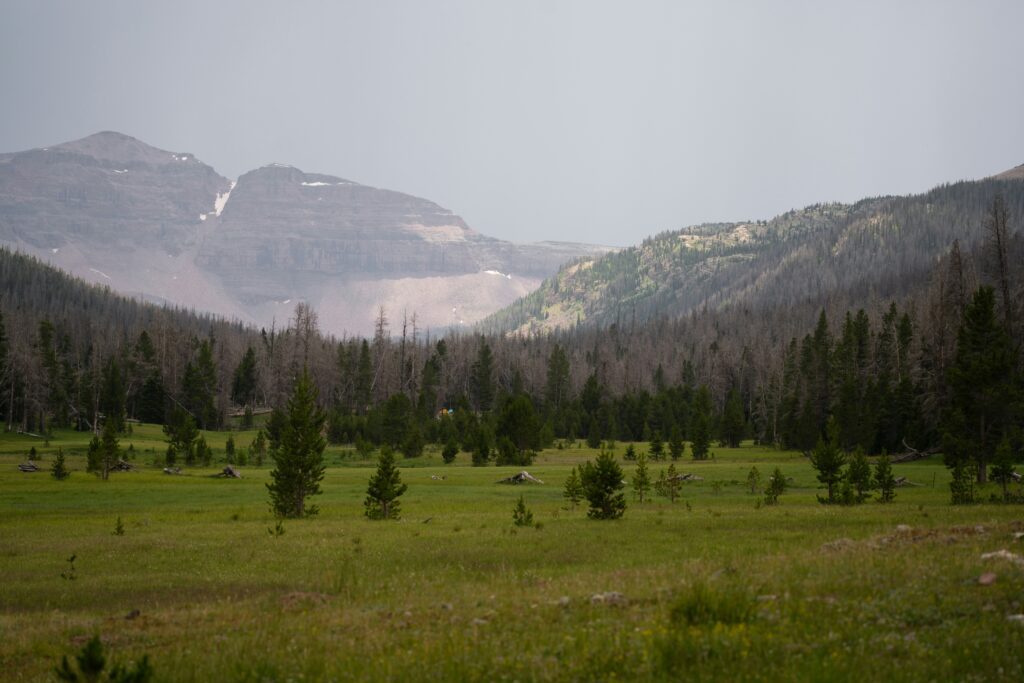 yellowstone elopement locations
