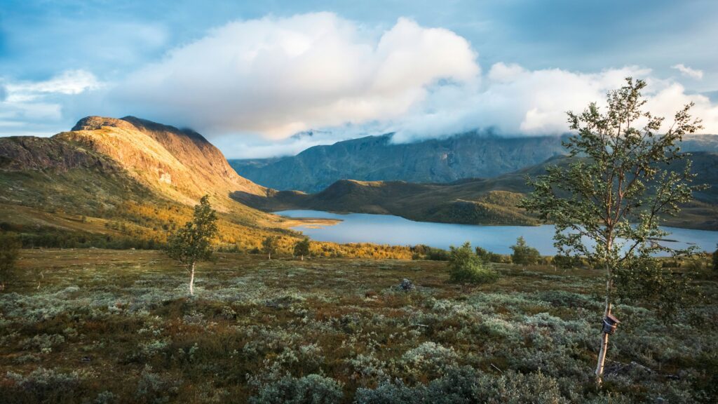 Norway elopement guide