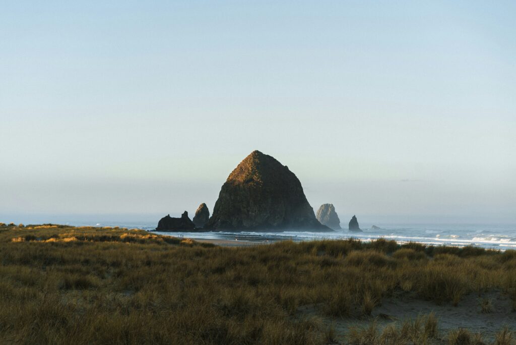 Oregon Coast elopement location